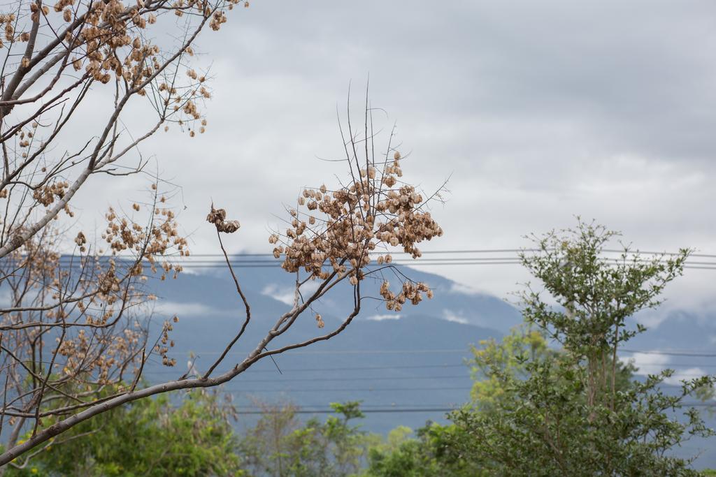 Just Like Villa Ji'an Dış mekan fotoğraf
